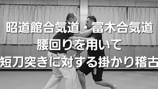 誰でも再現できるしおり式身体操作教室　昭道館合気道・富木合気道　掛かり稽古の研究