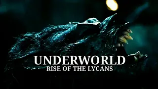 UNDERWORLD: RISE OF THE LYCANS_2009 (LYCANS VS VAMPIRE) FULL HD