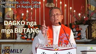 Fr. Ciano Ubod Homily - Unsaon nato nga Makakita sa mas Dagkong mga Butang?