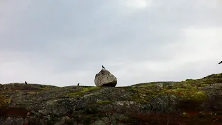 Заозерск ,Западная Лица  (отрывки )