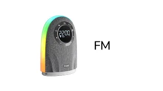 Tribit Home: FM