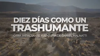 10 días como un trashumante: el duro trabajo del arriero, a caballo de la cordillera al llano