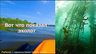 Подводный лес в Марье-Дмитровке