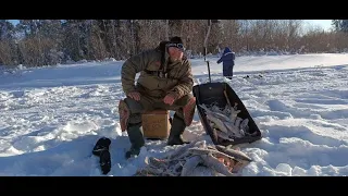 Река Етыпур ! Давно такой раздачи не было! Крупный окунь и язь дали жару!