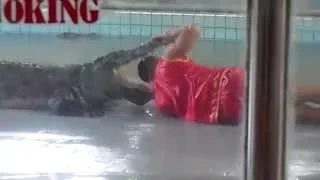 Крокодил откусил голову, почти.. / Crocodile almost eat head