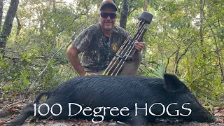 100 Degree HOGS! Traditional Bowhunting