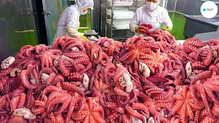 Como Se Hace Procesar Miles De Pulpos Cada Hora En La Fábrica Y Pescar Pulpo Japonés Con Una Olla