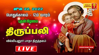 22 June 2022 Tamil Mass | Villianur Lourdes Shrine | Holy Cross Tv | Daily Tv Mass | Today Tv Mass