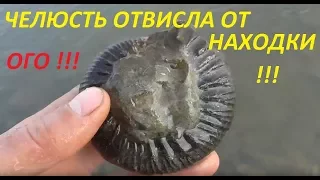 ОГО !!! ЧЕЛЮСТЬ ОТВИСЛА ОТ НАХОДКИ !!!