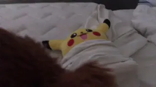 Pikachu’s funeral