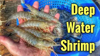 deep water shrimp - how to throw a Taped Castnet
