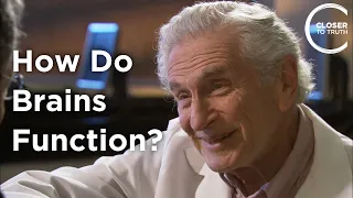 Arnold Scheibel - How Do Brains Function?