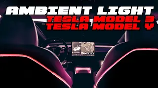 AMBIENT LIGHT im TESLA MODEL 3/Y REFRESH (2021) - Anleitung - How To Do - Einbau | EFIEBER