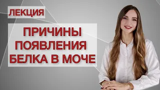 Белок в моче. Возможные причины и механизмы развития протеинурии.