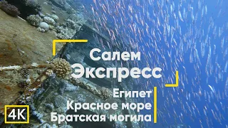 Трагедия в Красном море. Дайвинг на Салем Экспресс. Египет. Дайвинг. (Сафага)