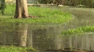 Flood-prone areas in Apopka brace for impact by Hurricane Ian