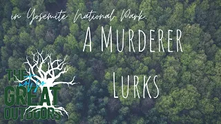 Ep3: In Yosemite National Park, A Murderer Lurks