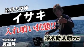 【外房イサキ釣り】これさえ守ればイサキは釣れる！？大原長福丸さんで鈴木新太郎プロにコツを聞いちゃいました！！（8'56"あたりから）