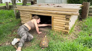 MYSTERIOUS CREATURE FOUND LIVING IN MY TORTOISE HOUSE! I CAN'T BELIEVE WE FOUND THEM...