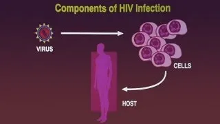 HIV: A Primer