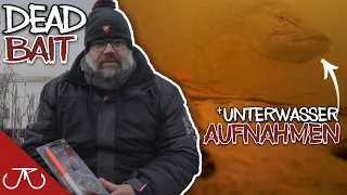 HECHTANGELN MIT TOTEM KÖDERFISCH! | „unglaubliche Unterwasseraufnahmen“