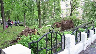 Страшные последствия после урагана. Москва 29 мая 2017. After the storm. Moscow. May 29 2017.