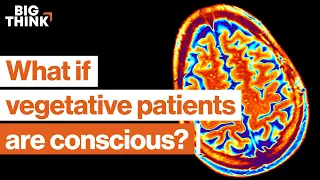 1 in 5 vegetative patients is conscious. This neuroscientist finds them. | Big Think x Freethink