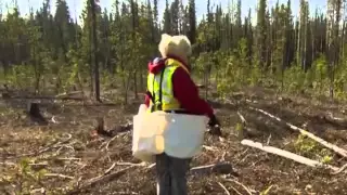 Worlds Toughest Jobs | Season 1 Episode 6 – Canadian Forestry - Documentary