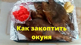 Окунь горячего копчения! как закоптить окуня!