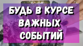 Что Тебе важно знать НЕМЕДЛЕННО? гадание на картах