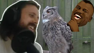 Forsen gets bombarded by owls ZULUL