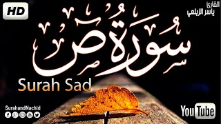 سورة ص القارئ ياسر الزيلعي Surah Sad