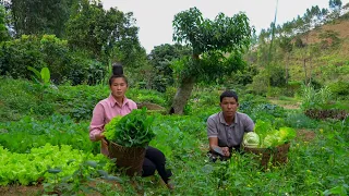 Planting Grass and Sugarcane, Harvesting Vegetables to Sell at Market, Buying More Working Tools