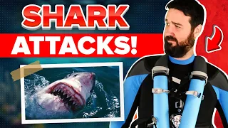 25 Craziest Shark Attacks Caught On Camera