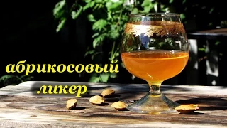 Рецепт абрикосового ликера