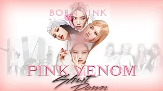 BLACKPINK - Intro + Pink Venom + Shut Down (Awards Show Performance Concept)