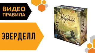 Эверделл — видео правила настольной игры 🌳🐹🐰