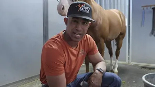 ONE WAY TO HELP KEEP YOUR HORSE HAPPY