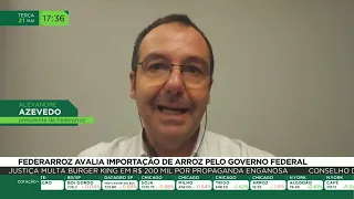 Federarroz avalia a importação de arroz pelo governo federal