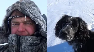 Один в тайге | Экстремальная ночёвка в мороз | -35 в летней палатке и спальнике | Готовка на костре