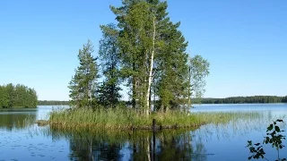 Прекрасная дикая природа Финляндии (Finland's wonderful wildlife)
