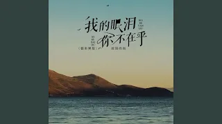 我的眼泪你不在乎 (都市男版)