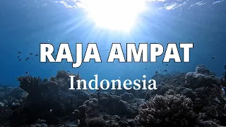 SCUBA Diving in the Last Paradise | Raja Ampat, Indonesia