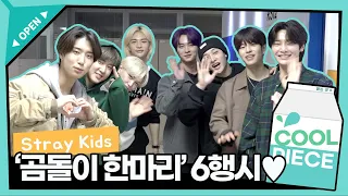 [벌칙영상] 스트레이 키즈(Stray Kids) ‘곰돌이 한 마리’ 6행시🧸💖 / [비투비의 키스 더 라디오] l KBS 220321 방송