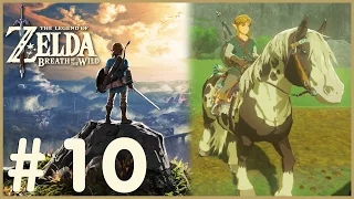 Zelda: Breath Of The Wild - I Got A Horse! (10)