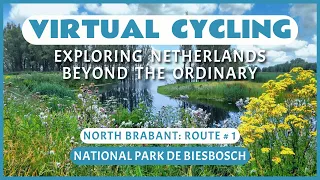 Virtual Cycling | Exploring Netherlands Beyond the Ordinary | North Brabant Route # 1