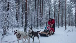 Husky Sledding in Lapland, Finland