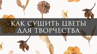 Как сушить цветы? 🌺 Где взять сухоцветы?