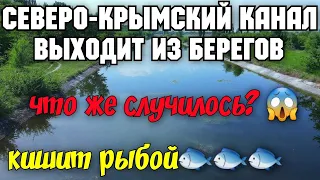 Что творится с Северо-Крымским каналом?Переполнен и выходит из берегов.Затопило задвижки гидроузла