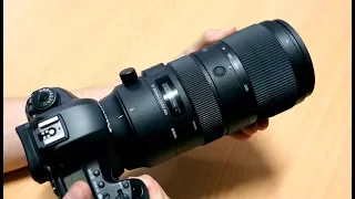 Sigma 70-200mm f/2.8 Sports - Review and Sample Photos
